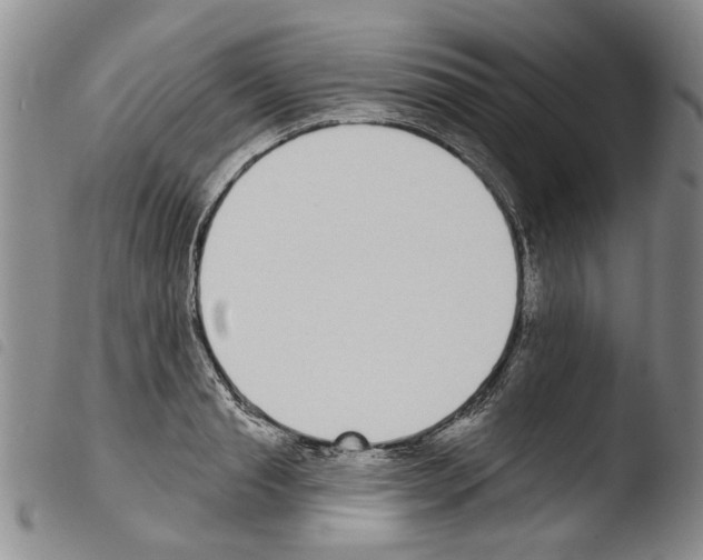 X0000103470845200810241011