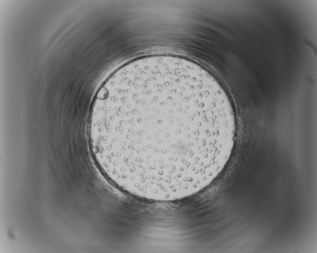 X0000103470847200810241011