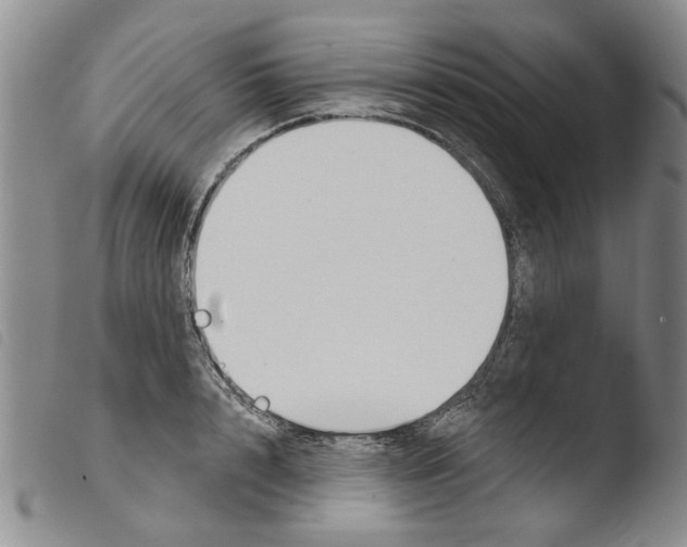 X0000103470848200810241011
