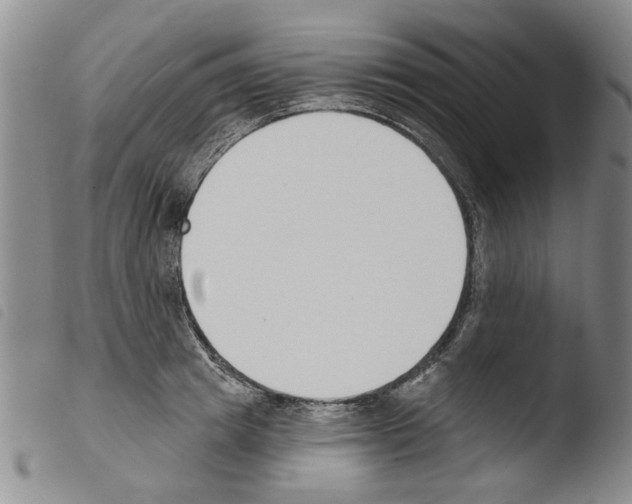 X0000103470849200810241011