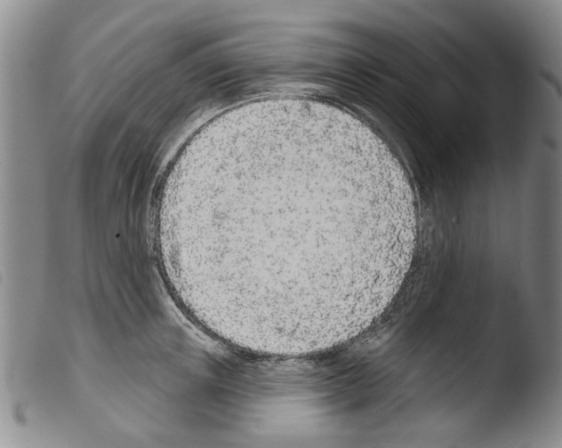 X0000103470851200810241012