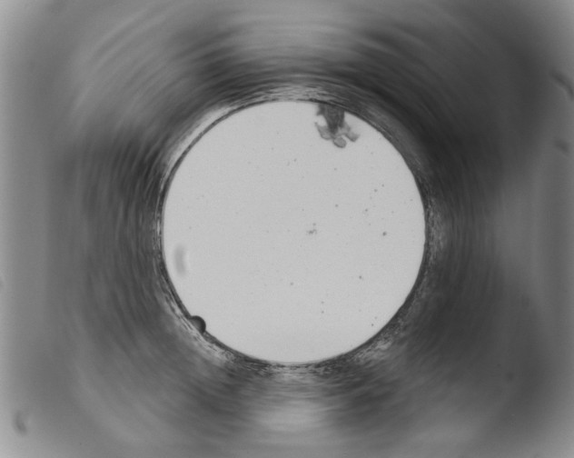 X0000103470852200810241012