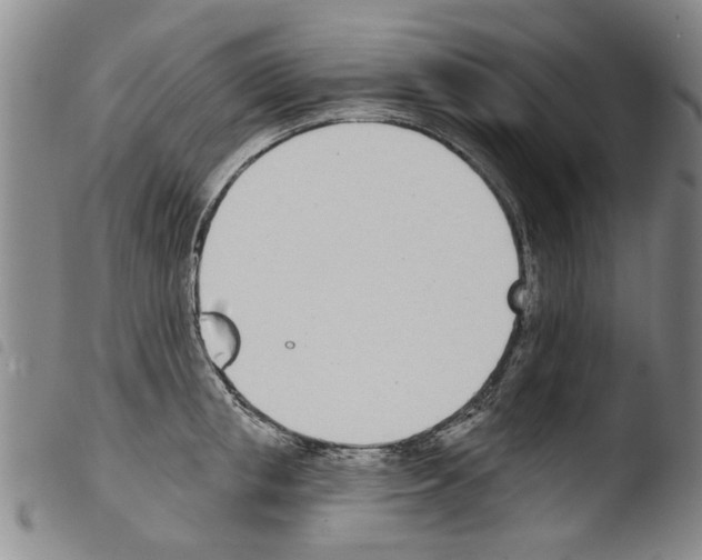 X0000103470853200810241012
