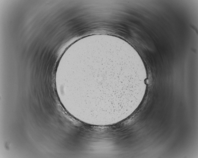X0000103470854200810241012
