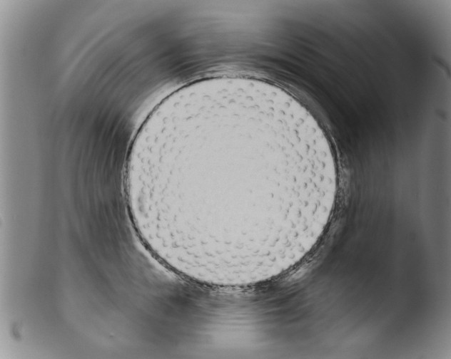 X0000103470855200810241012