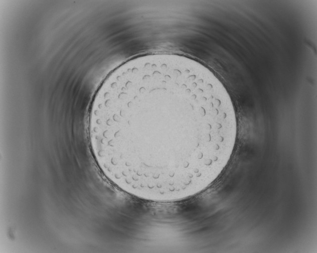 X0000103470856200810241012