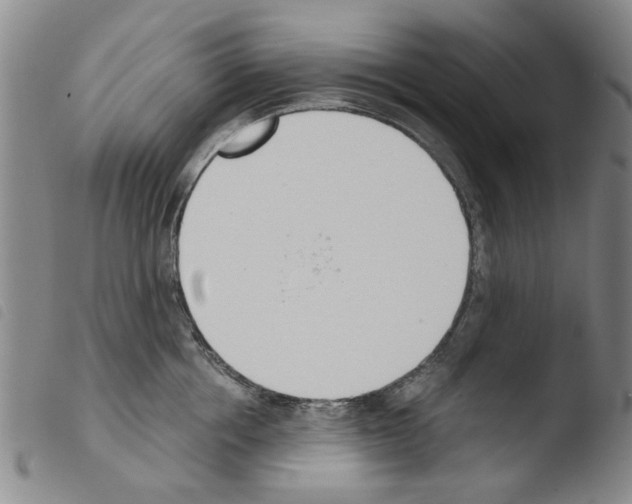 X0000103470858200810241012