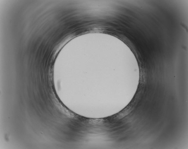 X0000103470859200810241012