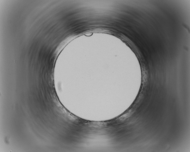 X0000103470860200810241012