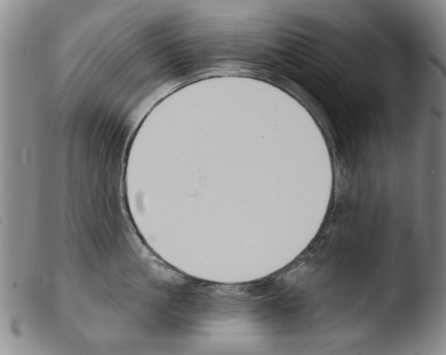 X0000103470861200810241012