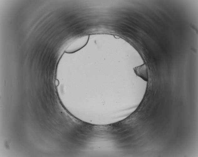 X0000103470863200810241012