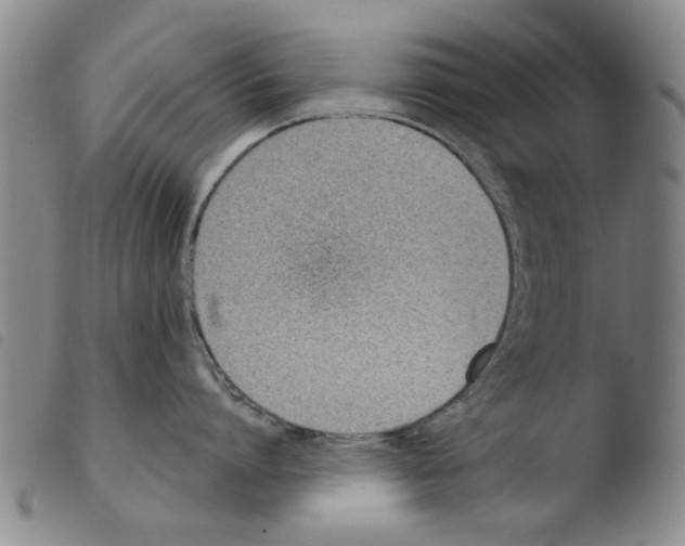 X0000103470864200810241012