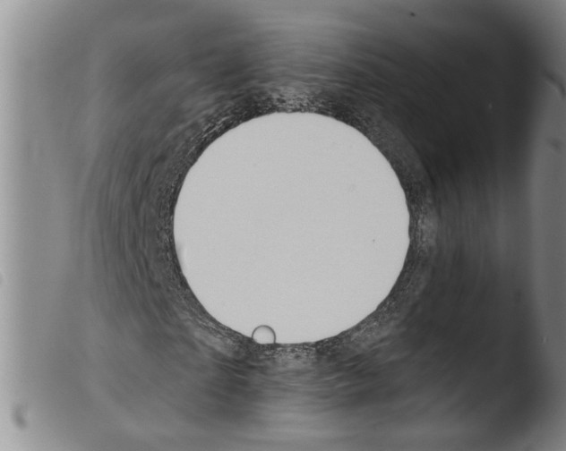 X0000103470865200810241011