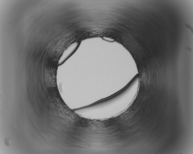 X0000103470868200810241011