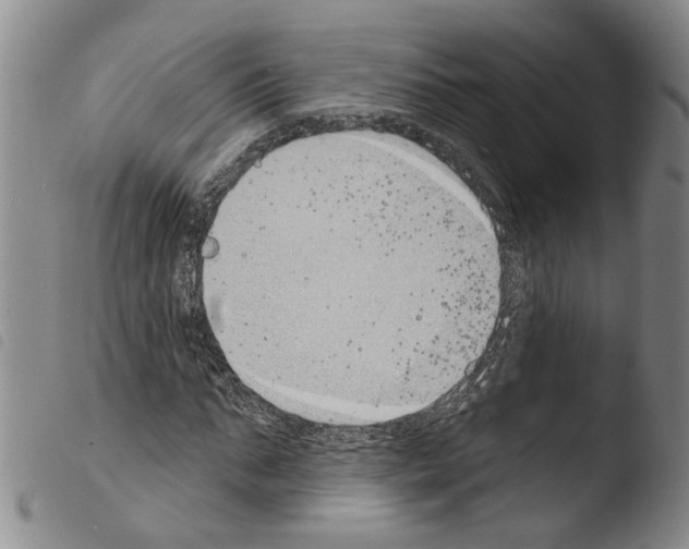 X0000103470871200810241011
