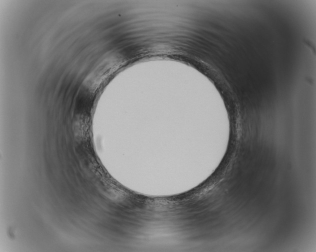 X0000103470873200810241011