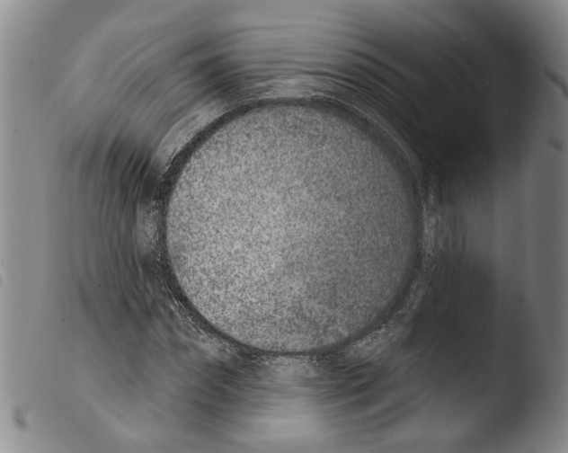 X0000103470874200810241011