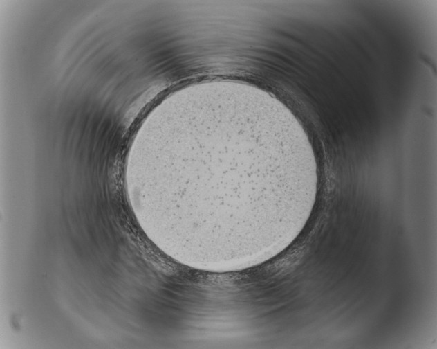 X0000103470875200810241011