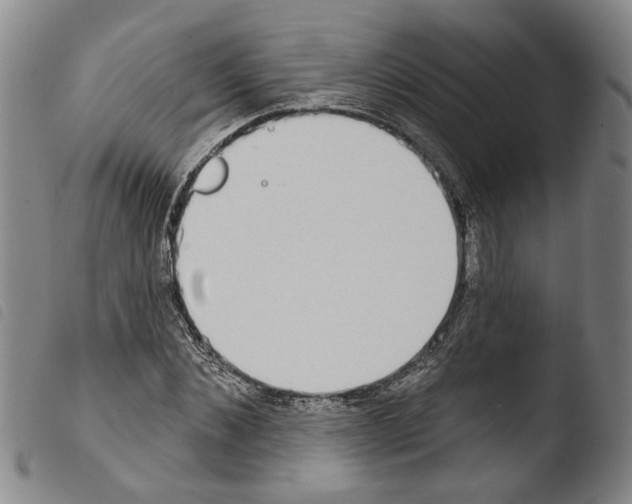 X0000103470876200810241011
