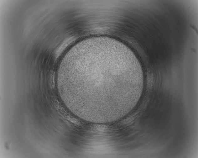 X0000103470878200810241011