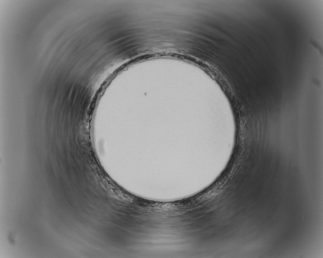 X0000103470879200810241011