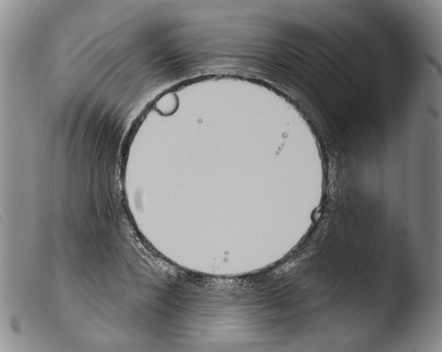 X0000103470880200810241011