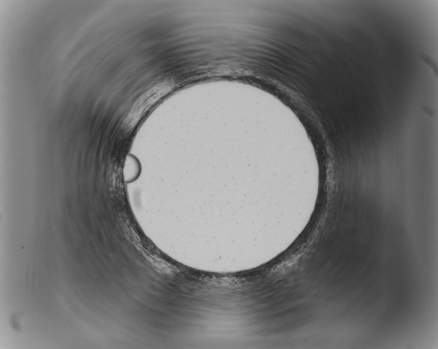 X0000103470881200810241011