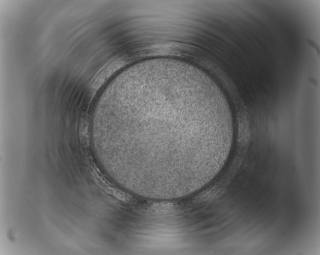 X0000103470882200810241011