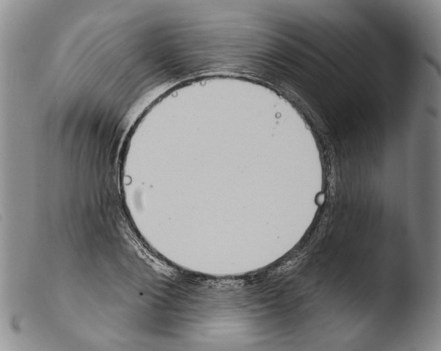 X0000103470884200810241011
