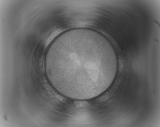 X0000103470886200810241011