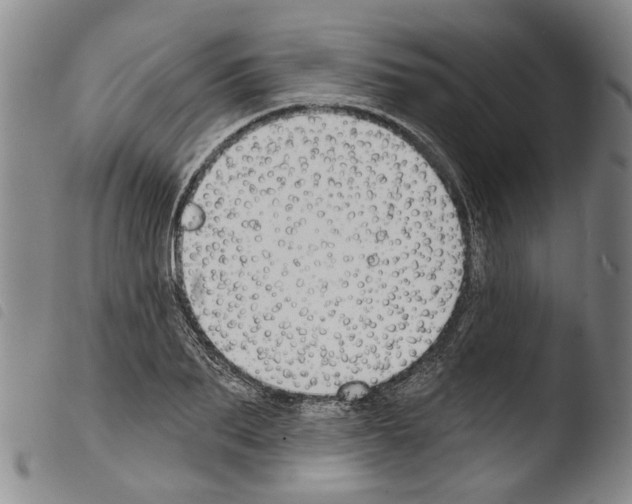 X0000103470887200810241011