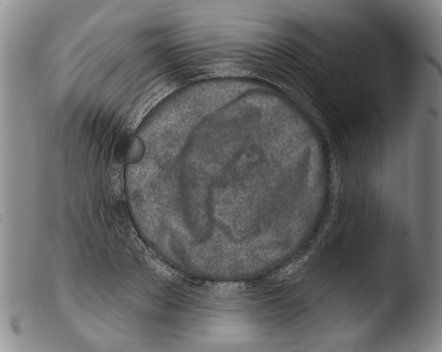 X0000103470889200810241011