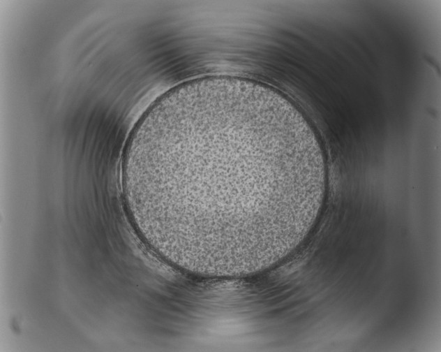 X0000103470891200810241011