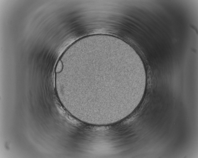 X0000103470892200810241011