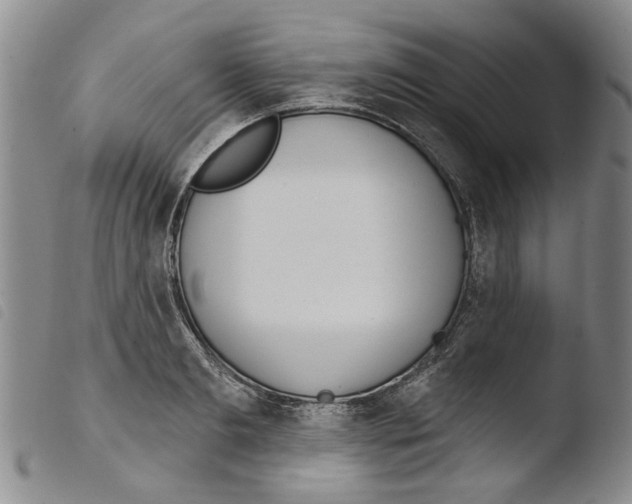 X0000103470893200810241011
