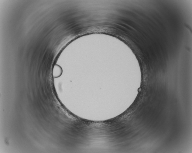 X0000103470894200810241011