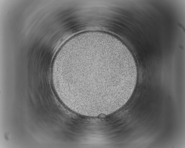 X0000103470895200810241011