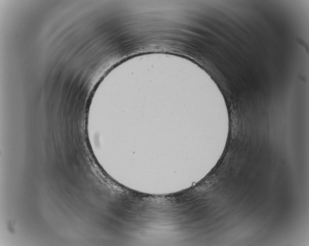 X0000103470896200810241011