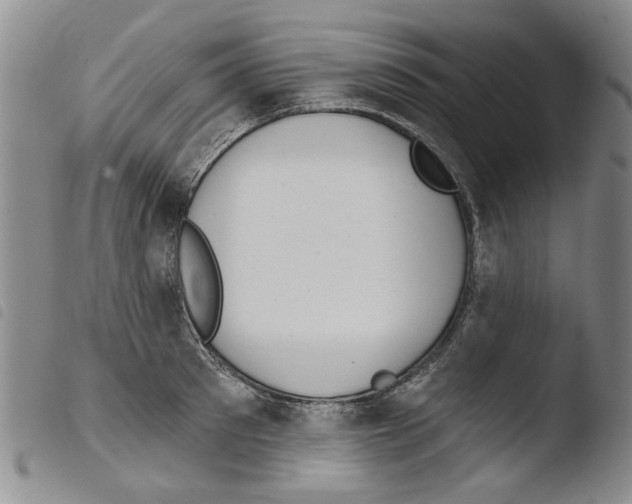X0000103470897200810241011