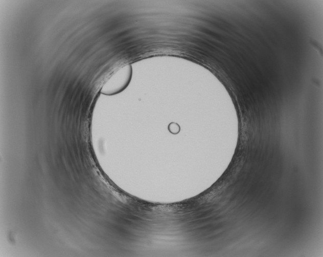 X0000103470898200810241011