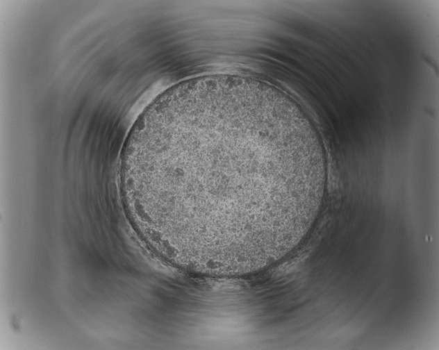 X0000103470899200810241011