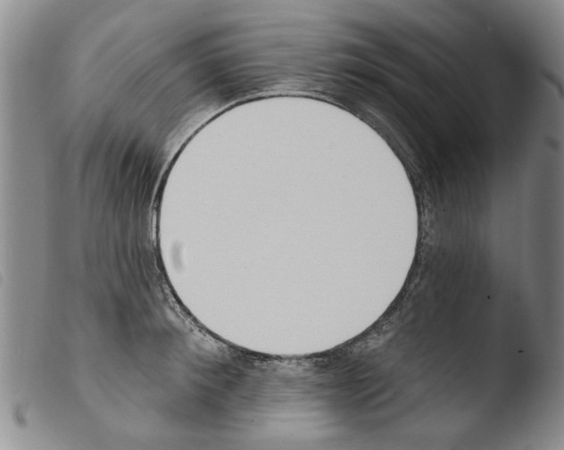 X0000103470900200810241011