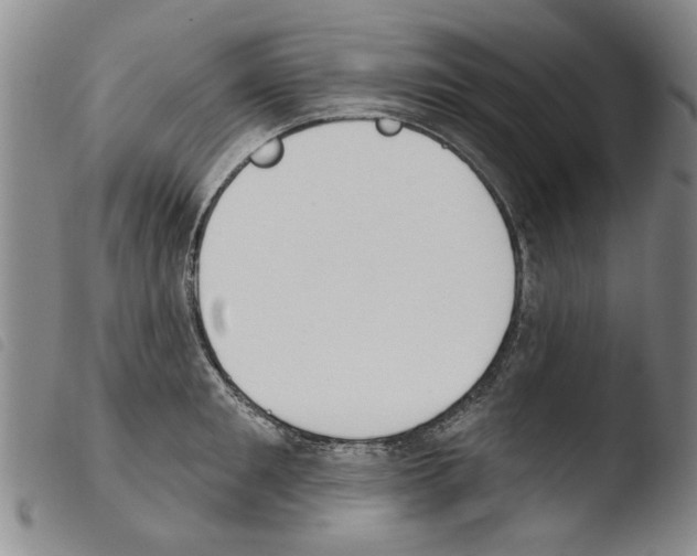 X0000103470901200810241011