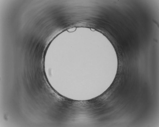 X0000103470902200810241011
