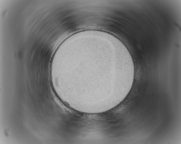 X0000103470903200810241011