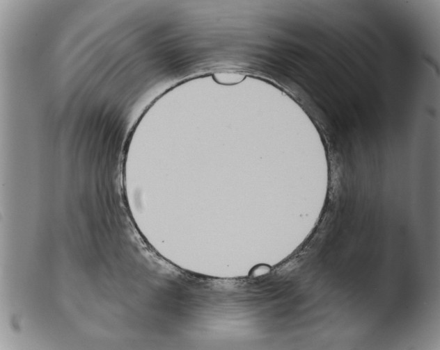 X0000103470904200810241010