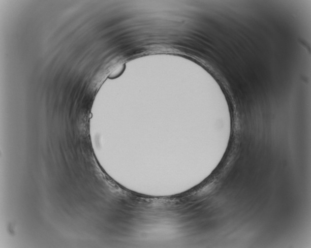 X0000103470905200810241010