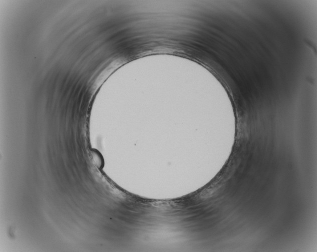 X0000103470906200810241010