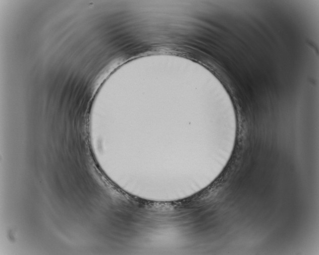 X0000103470907200810241010