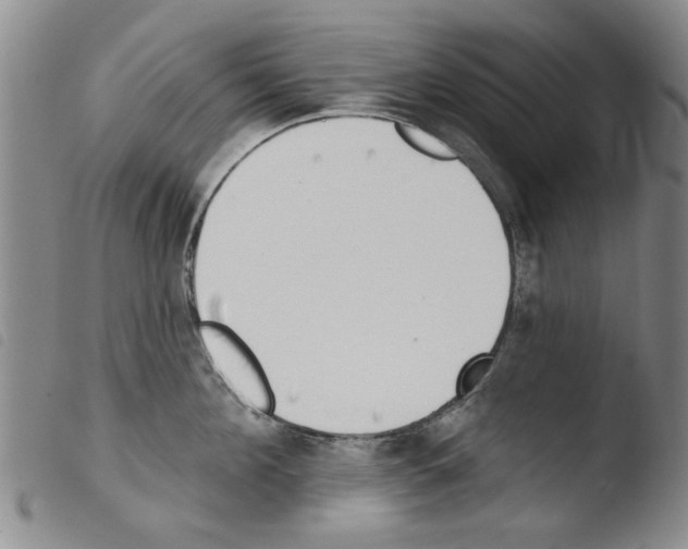 X0000103470908200810241010